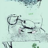 Rockpool Out and About